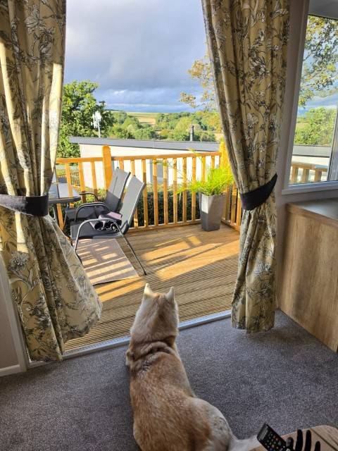 Husky looking out from the lounge over the terrace to the countryside beyond