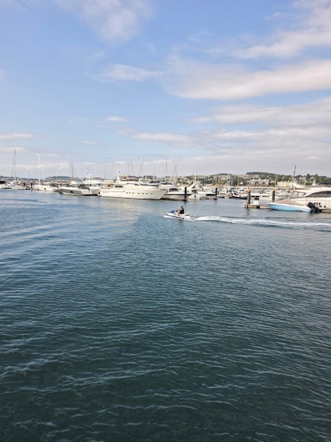 Boats moored in the marina